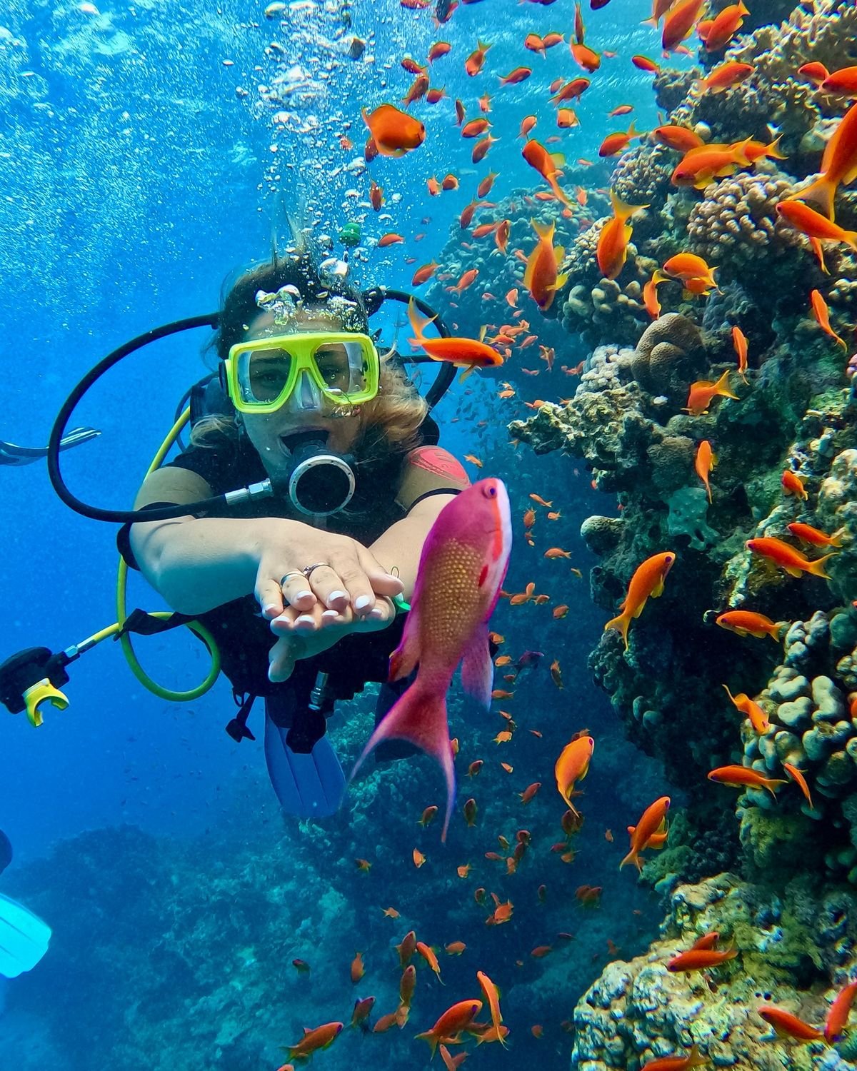 The Best of Egypt Packages & Sharm el Sheikh